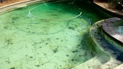 Algae Control